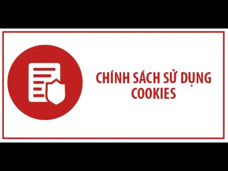 Chính Sách Cookie W88 - Những Điều Về Chính Sách Bảo Vệ 