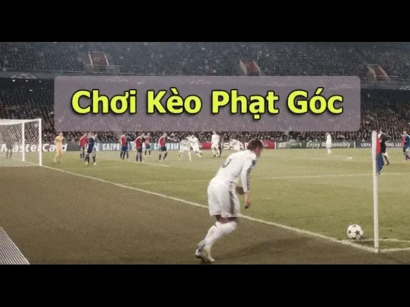 Cược Phạt Góc - Hoà Mình Vào Thế Giới Thể Thao Sôi Động